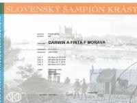 DARWIN A Finta F Morava-Slovenský šampion